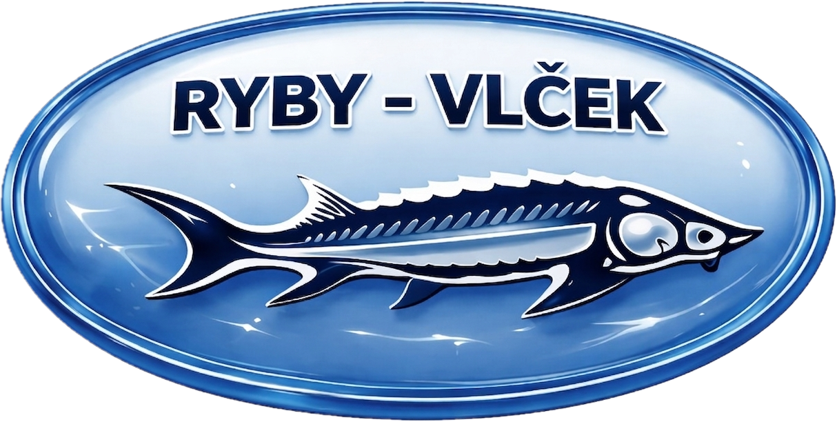 RYBY VLČEK - CHOV A PRODEJ RYB. TRŽNÍ RYBY, NÁSADY, RYBOLOV